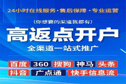 百度竞价推广公司经典案例解析：广告投放策略的智慧
