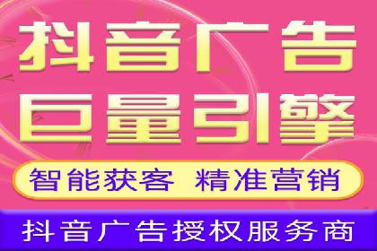 竞价推广的预算分配与优化：案例解读